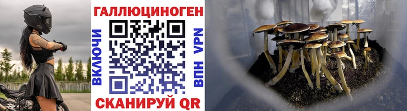Псилоцибиновые грибы GOLDEN TEACHER  купить закладку  Дудинка 